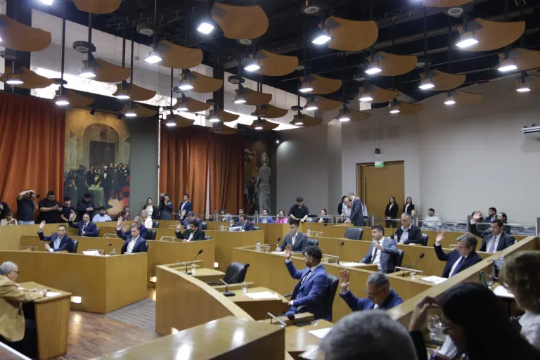 concejo deliberante
