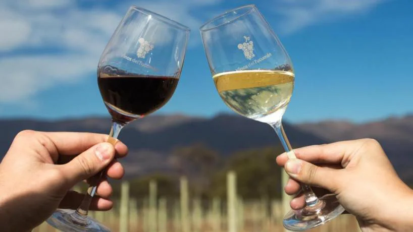 ruta del vino2