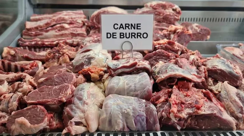 carne de burro