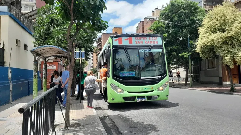 colectivos