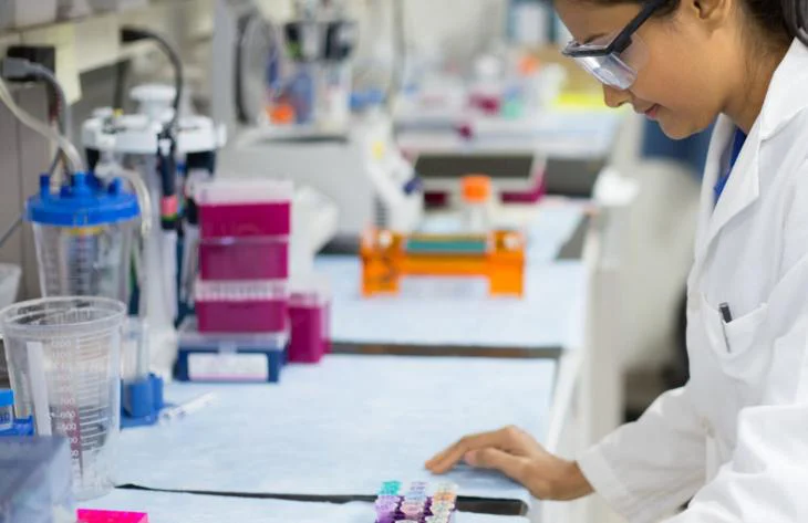 ciencia e innovación