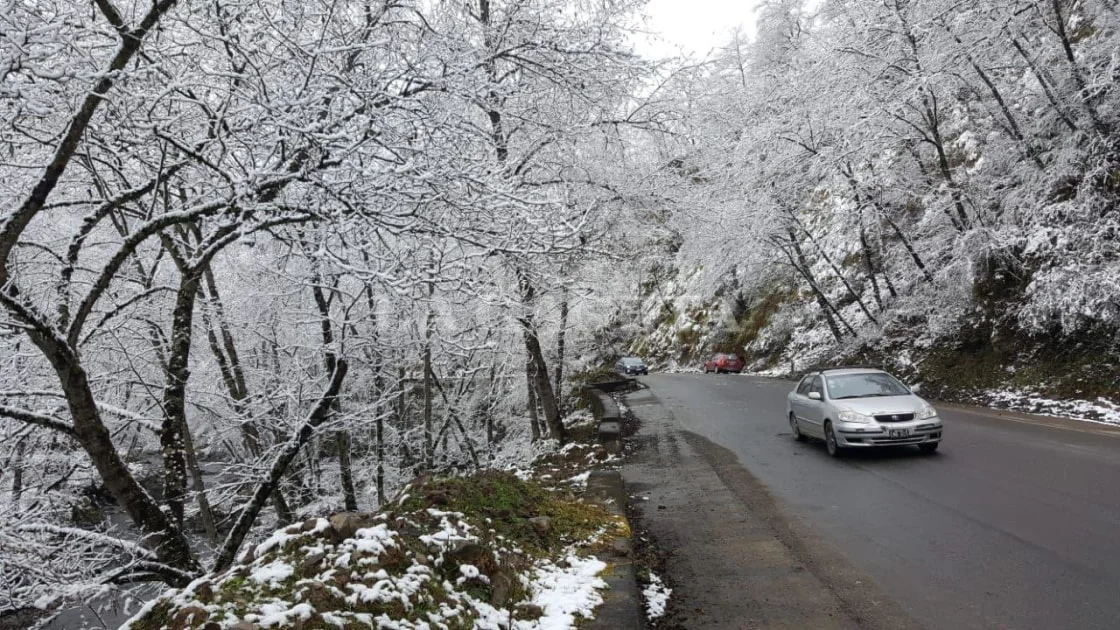 nieve tafí del valle